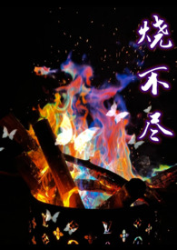 烧不尽by回南雀完结了吗